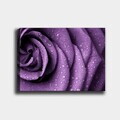 Tablou decorativ, 125041943_70100, Canvas, Rama din lemn (grosime 3 cm), Multicolor