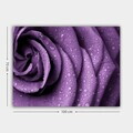 Tablou decorativ, 125041943_70100, Canvas, Rama din lemn (grosime 3 cm), Multicolor