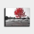 Tablou decorativ, 247248526_70100, Canvas, Rama din lemn (grosime 3 cm), Multicolor
