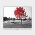 Tablou decorativ, 247248526_70100, Canvas, Rama din lemn (grosime 3 cm), Multicolor
