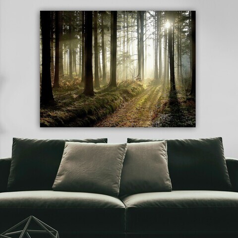 Tablou decorativ, 24912262_70100, Canvas, Rama din lemn (grosime 3 cm), Multicolor