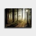 Tablou decorativ, 24912262_70100, Canvas, Rama din lemn (grosime 3 cm), Multicolor