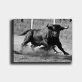 Tablou decorativ, 613777481_70100, Canvas, Rama din lemn (grosime 3 cm), Multicolor