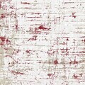 Covor, Eexfab1167, 140x220 cm, Poliester, Multicolor