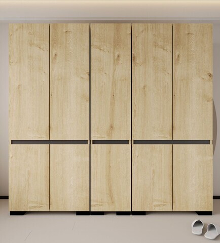 Dulap pentru haine, Hanah Home, Floransa 225, 225x210x52 cm, PAL MELAMINAT, Stejar safir / Antracit