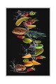 Covor, Hmnt588, 80x120 cm, Poliester, Multicolor