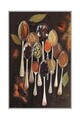 Covor, Hmnt591, 100x300 cm, Poliester, Multicolor