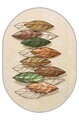 Covor, Hmnt906, 80x120 cm, Poliester, Multicolor