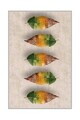 Covor, Hmnt567, 80x300 cm, Poliester, Multicolor
