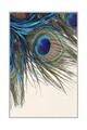 Covor, Hmnt568, 180x280 cm, Poliester, Multicolor
