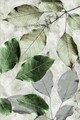 Covor, Hmnt571, 140x220 cm, Poliester, Multicolor