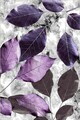 Covor, Hmnt572, 140x220 cm, Poliester, Multicolor