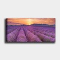 Tablou decorativ, YTY398412370_3080, Canvas, 30 x 80 cm, Multicolor