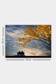 Tablou decorativ, 118564954-5070, Canvas, Rama din lemn (grosime 3 cm), Multicolor