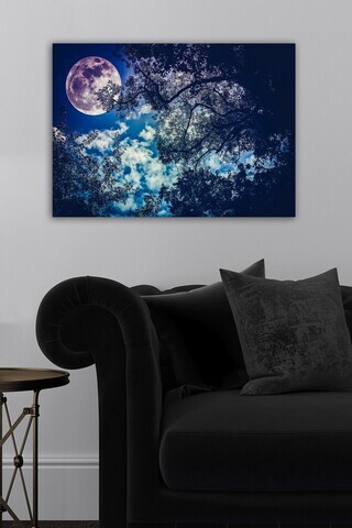 Tablou decorativ, 510249208-5070, Canvas, Rama din lemn (grosime 3 cm), Multicolor
