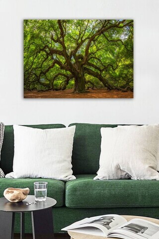 Tablou decorativ, 553671223-5070, Canvas, Rama din lemn (grosime 3 cm), Multicolor