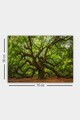 Tablou decorativ, 553671223-5070, Canvas, Rama din lemn (grosime 3 cm), Multicolor