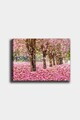 Tablou decorativ, 628633070-5070, Canvas, Rama din lemn (grosime 3 cm), Multicolor