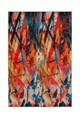 Covor, Ansley, 80x120 cm, Poliester, Multicolor