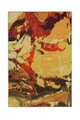 Covor, Kenji, 160x230 cm, Poliester, Multicolor