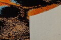 Covor, Abbott, 160x230 cm, Poliester, Multicolor
