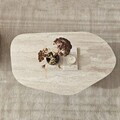 Masuta de cafea, Hanah Home, Nova, 100x35x60 cm, PAL, Travertin / Fumure