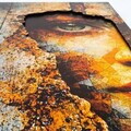 Tablou decorativ, Rusta, MDF, Dimensiuni: 33 x 68 cm, Multicolor