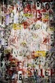 Covor, Hmnt53, 160x230 cm, Poliester, Multicolor