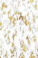 Covor, Hmnt116, 100x200 cm, Poliester, Multicolor