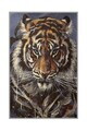 Covor, Hmnt180, 80x200 cm, Poliester, Multicolor