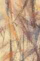 Covor, Hmnt249, 160x230 cm, Poliester, Multicolor