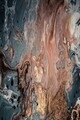 Covor, Exfab279, 80x200 cm, Poliester, Multicolor
