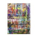 Covor, Exfab287, 80x300 cm, Poliester, Multicolor