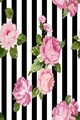 Covor, Exfab315, 140x220 cm, Poliester, Multicolor