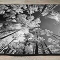 Covor, Els1902, 160x230 cm, Catifea, Multicolor