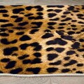 Covor, Els2084, 100x200 cm, Catifea, Multicolor