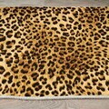 Covor, Els2086, 80x120 cm, Catifea, Multicolor