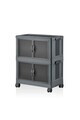 Dulap multifunctional, Hanah Home, Lavine 67, 32x67x56 cm, PLASTIC, Antracit