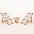 Set masa si scaune de gradina (3 Pieces), Hanah Home, Myn03, LEMN DE CARPEN, Gri/Alb