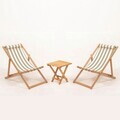 Set masa si scaune de gradina (3 Pieces), Hanah Home, Myn03, LEMN DE CARPEN, Maro/Alb