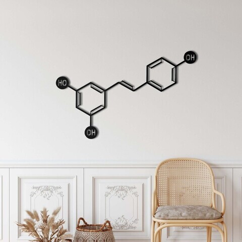 Decoratiune de perete, 5439, Metal, Dimensiune: 60 x 38 cm, Negru