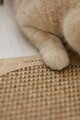 Covoraș de zgâriat pentru pisici, Paws & Whiskers, Kedi, MDF, Bej