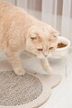 Covoraș de zgâriat pentru pisici, Paws & Whiskers, Kedi, MDF, Gri