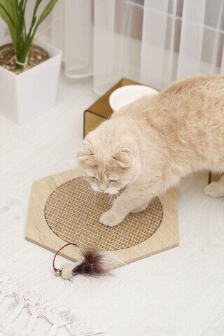 Covoraș de zgâriat pentru pisici, Paws & Whiskers, Altıgen 30- Beige, MDF, Bej