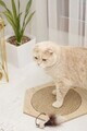 Covoraș de zgâriat pentru pisici, Paws & Whiskers, Altıgen 30- Beige, MDF, Bej
