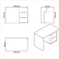 Birou, Hanah Home, New Options, 103.9x73.5x60 cm, PAL MELAMINAT, Crem / Stejar