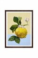 Tablou decorativ, Artmoscrv1-3348, Lemn masiv, MDF, Multicolor
