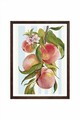Tablou decorativ, Artmoscrv17-3348, Lemn masiv, MDF, Multicolor