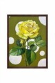 Tablou decorativ, Artmoscrv7-5070, Lemn masiv, MDF, Multicolor