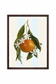 Tablou decorativ, Artmoscrv9-5070, Lemn masiv, MDF, Multicolor